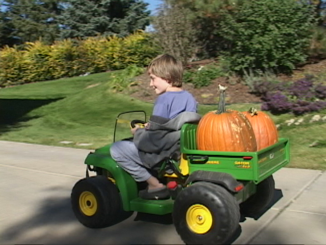 pumpkinharvest(2).jpg